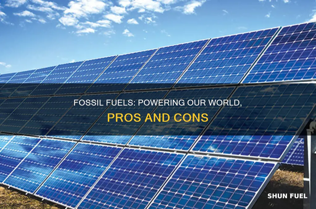how are fossil fuels important