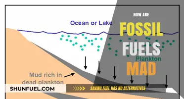 The Evolution of Fossil Fuels: A Historical Perspective