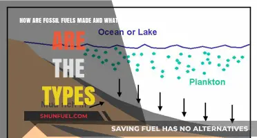 Fossil Fuels: Formation and Varieties Explained