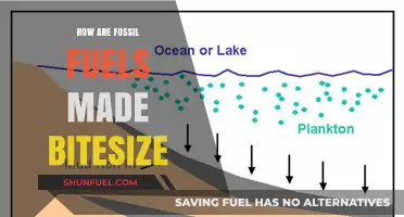The Making of Fossil Fuels: A Bitesize Guide