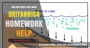 Fossil Fuels: Formation and Extraction Explained
