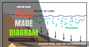 Fossil Fuels Formation: A Visual Guide