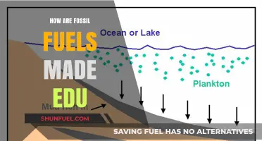 The Story of Fossil Fuels: A Historical Perspective