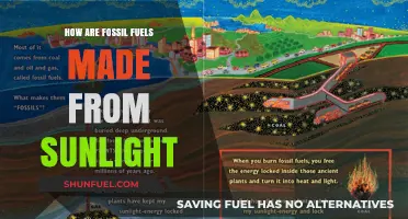 Sunlight's Ancient Power: Fossil Fuels' Origin Story