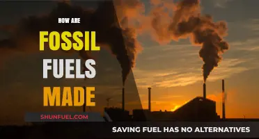 The Making of Fossil Fuels: A Historical Perspective