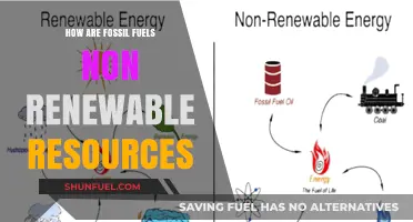 Fossil Fuels: Finite, Non-Renewable, and Harmful
