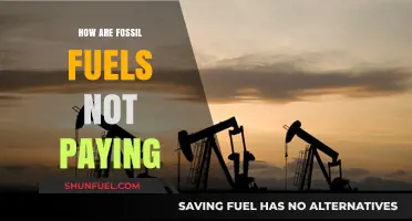 Fossil Fuels: A Costly Addiction