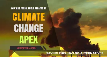 Fossil Fuels: Climate Change's Main Culprit