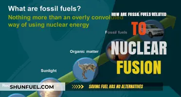 Fossil Fuels: Nuclear Fusion's Unlikely Companion