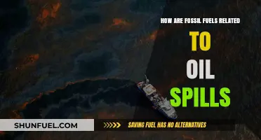 The Dark Side of Fossil Fuels: Oil Spills
