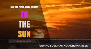 The Sun, Fossil Fuels, and Their Intertwined History