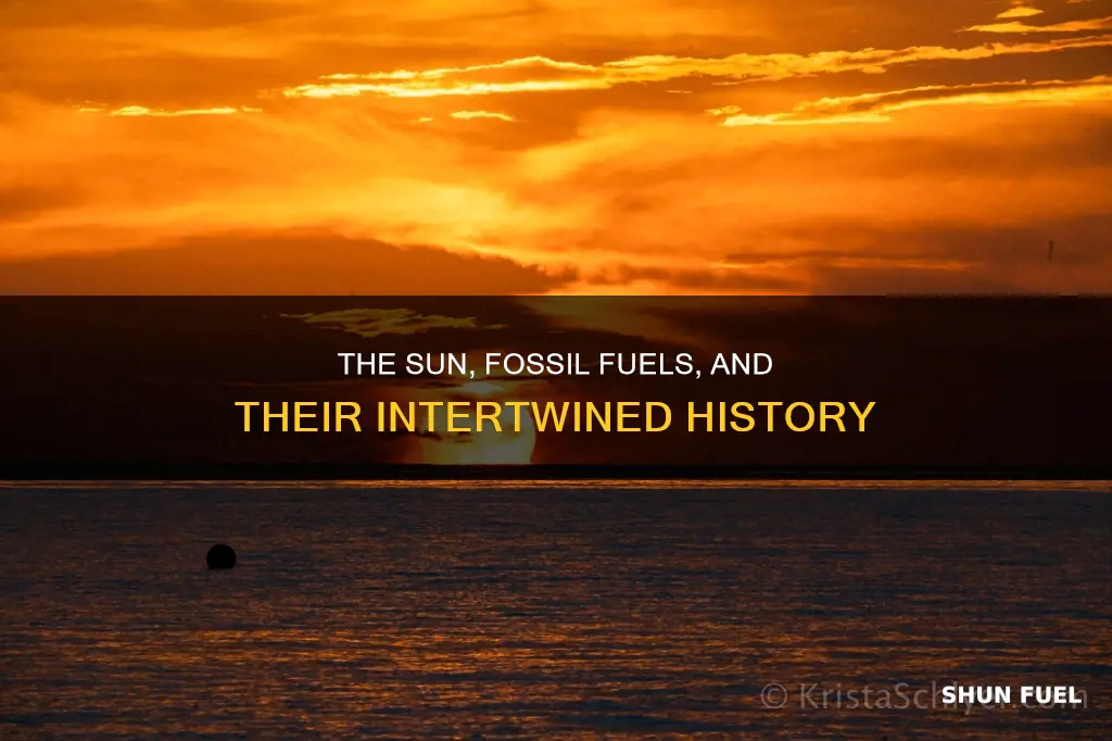 how are fossil fuels related to the sun