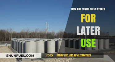 Storing Fossil Fuels: Methods for Preserving Energy for Future Use