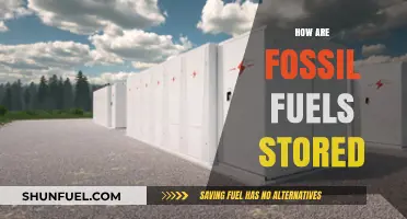 Storing Fossil Fuels: Underground Secrets