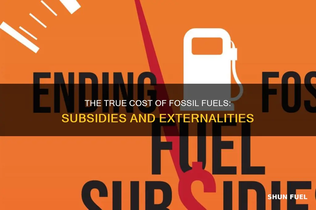 how are fossil fuels subsidized