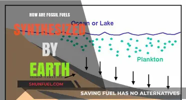 The Earth's Synthesis of Fossil Fuels: A Natural Process