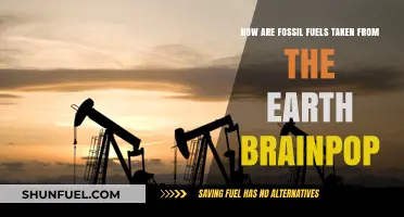 Extracting Fossil Fuels: Methods and Environmental Impact