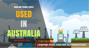 Australia's Fossil Fuel Usage: Powering the Nation