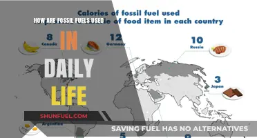Fossil Fuels: Powering Our Daily Lives