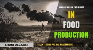 Fossil Fuels: Powering Modern Food Production