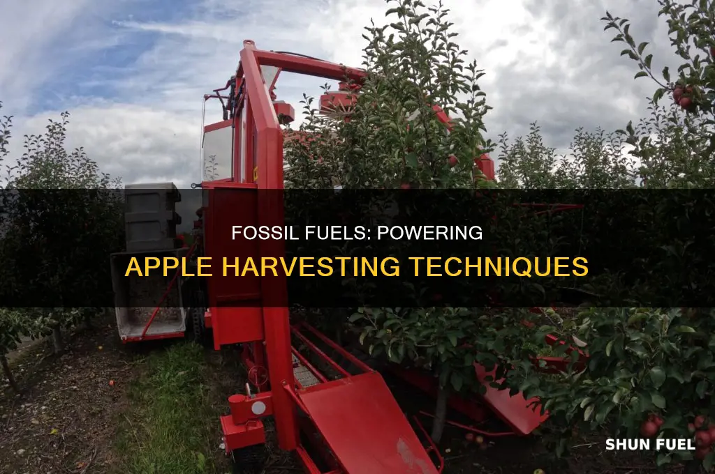 how are fossil fuels used in harvesting apples