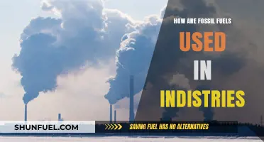 Fossil Fuels: Powering Industries, Shaping Our World