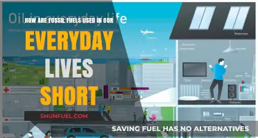 Fossil Fuels: Powering Our Daily Lives