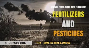 Fossil Fuels: Powering Fertilizers and Pesticides