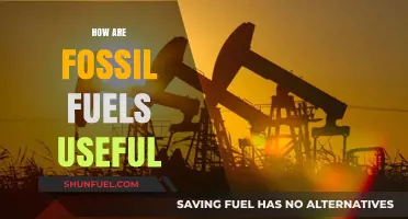 The Essential Role of Fossil Fuels in Modern Energy Systems
