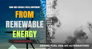 Fossil Fuels vs Renewable Energy: Key Differences Explained