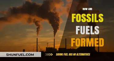 The Formation of Fossil Fuels: A Historical Perspective