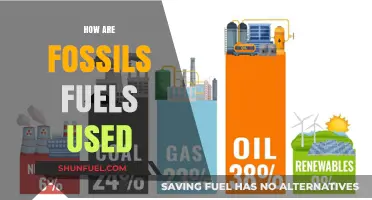 Fossil Fuels: Powering Our World, Past and Present