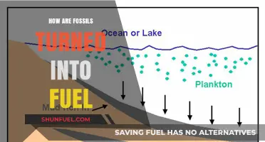 Fossil Fuels: Ancient Energy Sources Explained