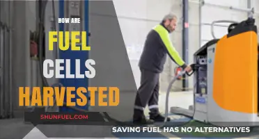 Harvesting Fuel Cells: Sustainable Energy Extraction Methods Explained