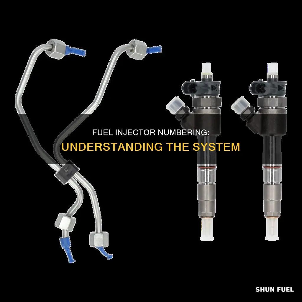 how are fuel injectors numbered
