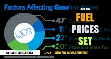 Understanding Fuel Pricing: Factors Behind the Pump's Cost Fluctuations