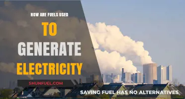 Powering the Grid: How Fuels Generate Electricity for Modern Life