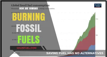 The Impact of Humans Burning Fossil Fuels