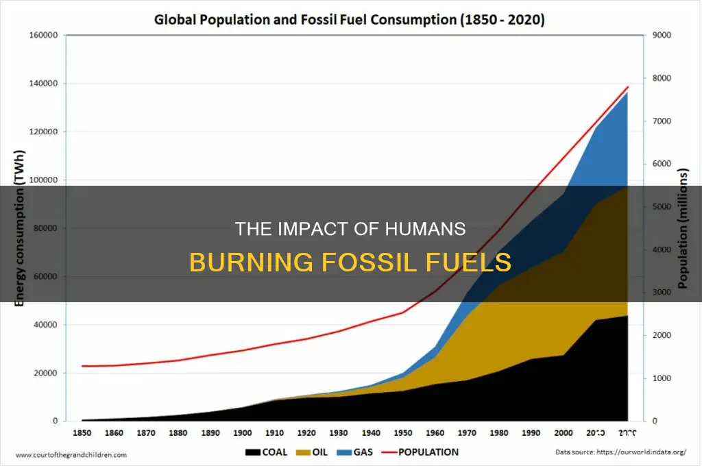how are humans burning fossil fuels