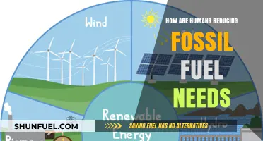 Innovating Beyond Fossil Fuels: The Human-Led Energy Transition