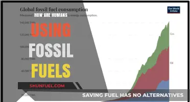 Fossil Fuels: Powering Our World, Impacting Our Future