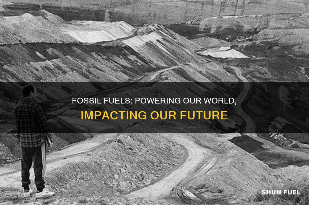 how are humans using fossil fuels