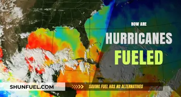 How Warm Ocean Waters and Atmospheric Conditions Fuel Hurricanes