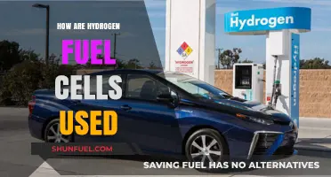 Exploring Hydrogen Fuel Cells: Applications and Real-World Uses