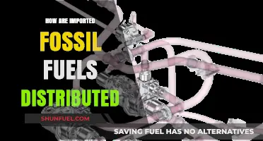 The Journey of Fossil Fuels: Distribution of Imports