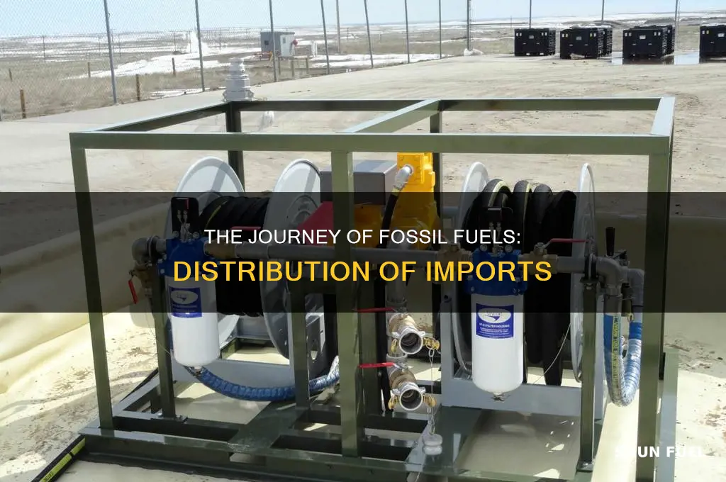 how are imported fossil fuels distributed