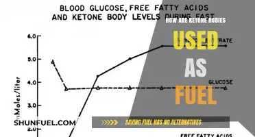 Ketone Bodies: Unlocking Their Role as Alternative Energy Fuel