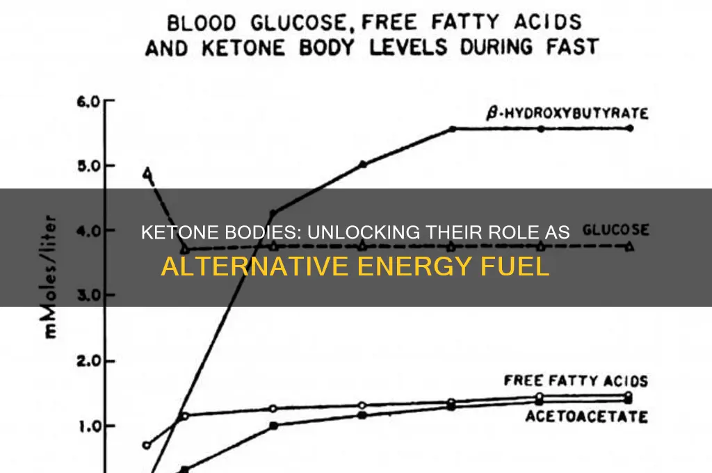 how are ketone bodies used as fuel