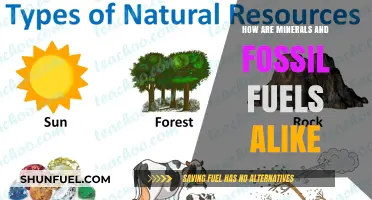 Minerals and Fossil Fuels: Earth's Treasures and Energy Sources