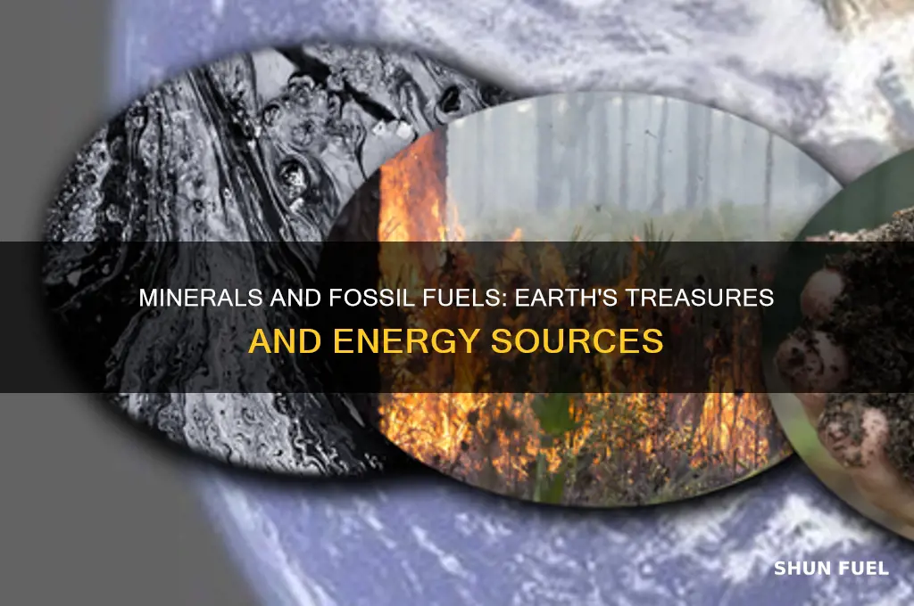 how are minerals and fossil fuels alike